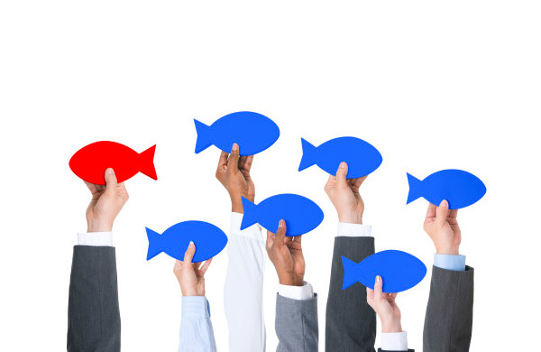 Diferencias da Concorrencia - Agência de Marketing Digital em BH: Agência DOM